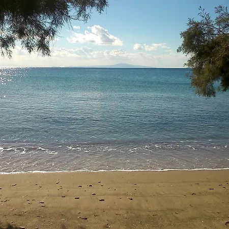 Abela Beach